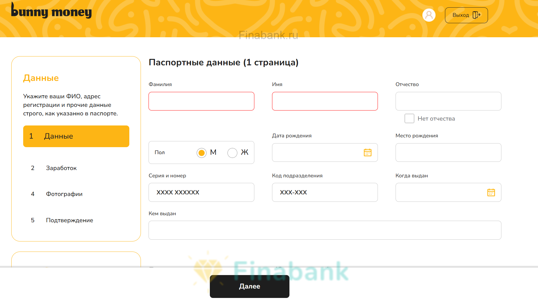 Укажите паспортные данные и место регистрации Bunny Money 3
